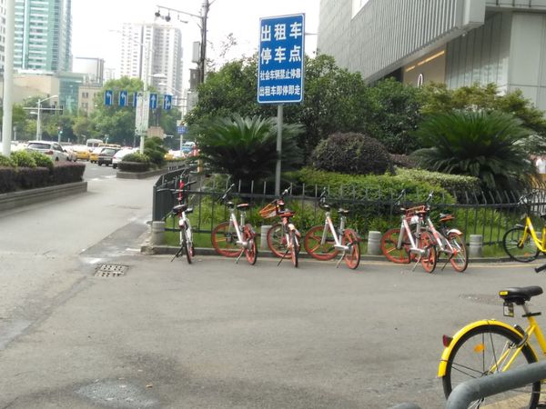 南航大学生走访街头,深入调查共享单车问题