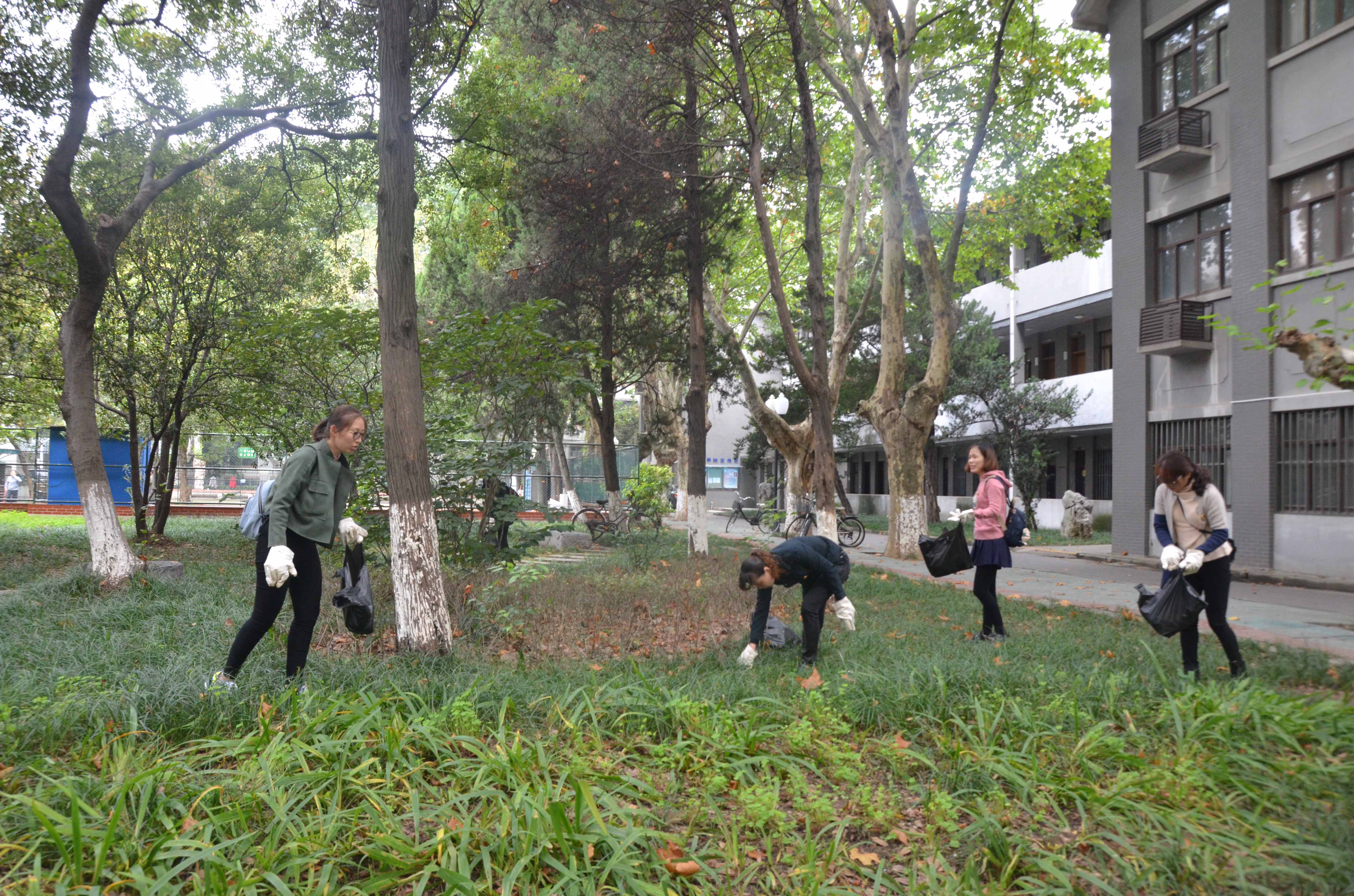 美化校园环境,我为六十五周年校庆添彩:后勤集团党委