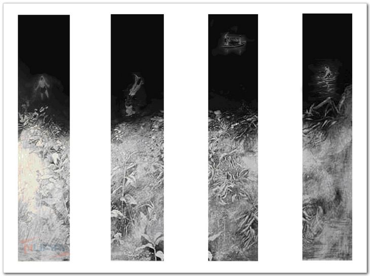 李军老师作品选登